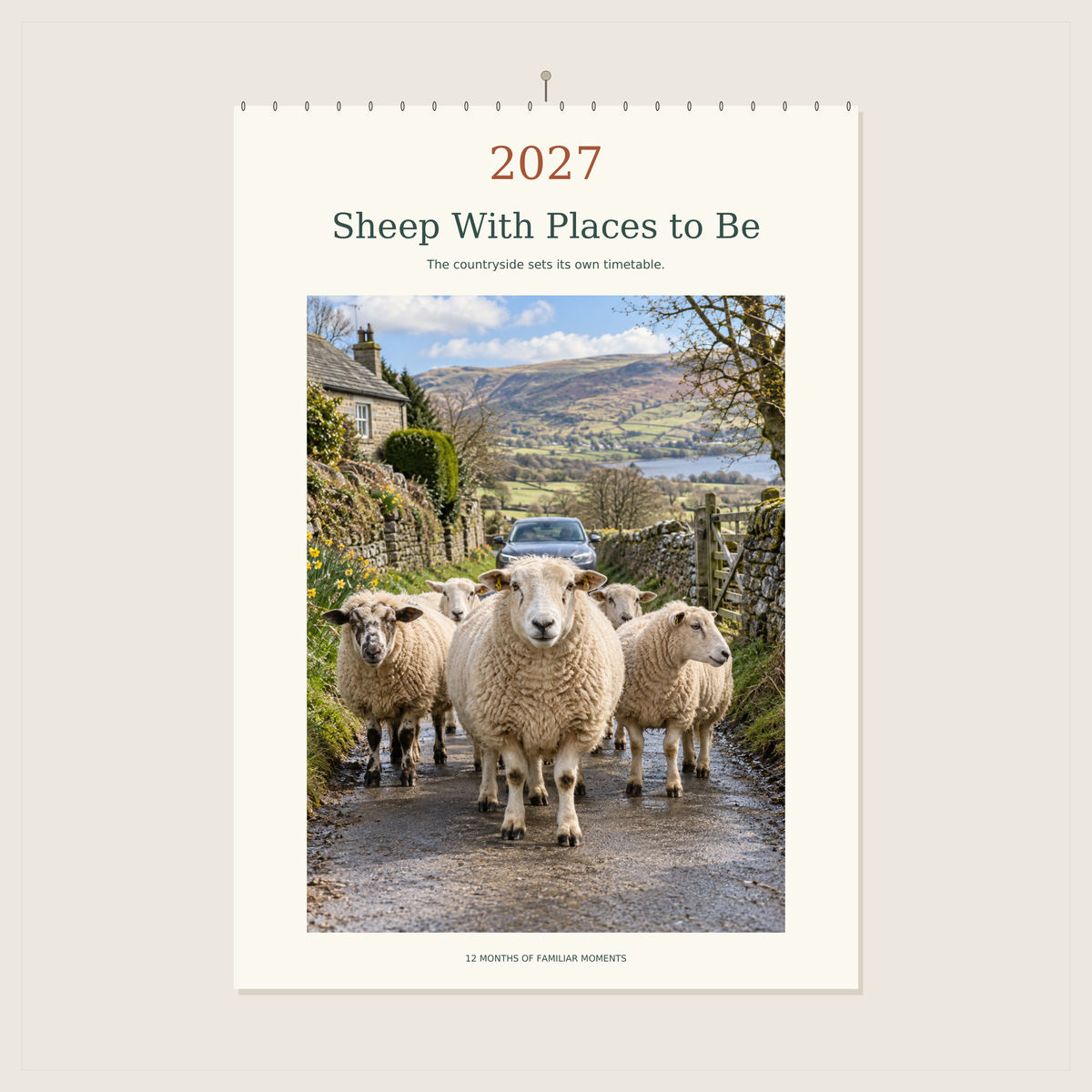 🔥Sheep With Places to Be - 2027 A4 Wall Calendar