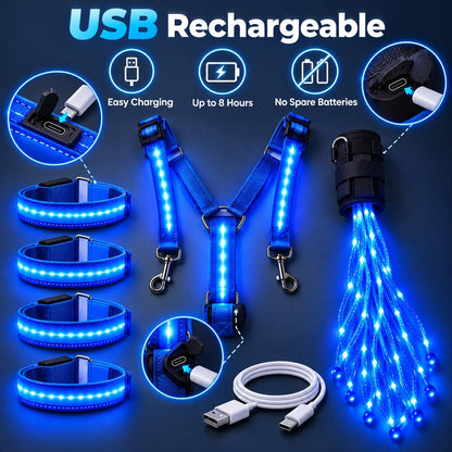 💎Horse LED Night Glow Protection Gear 6-Piece Full Set🐎