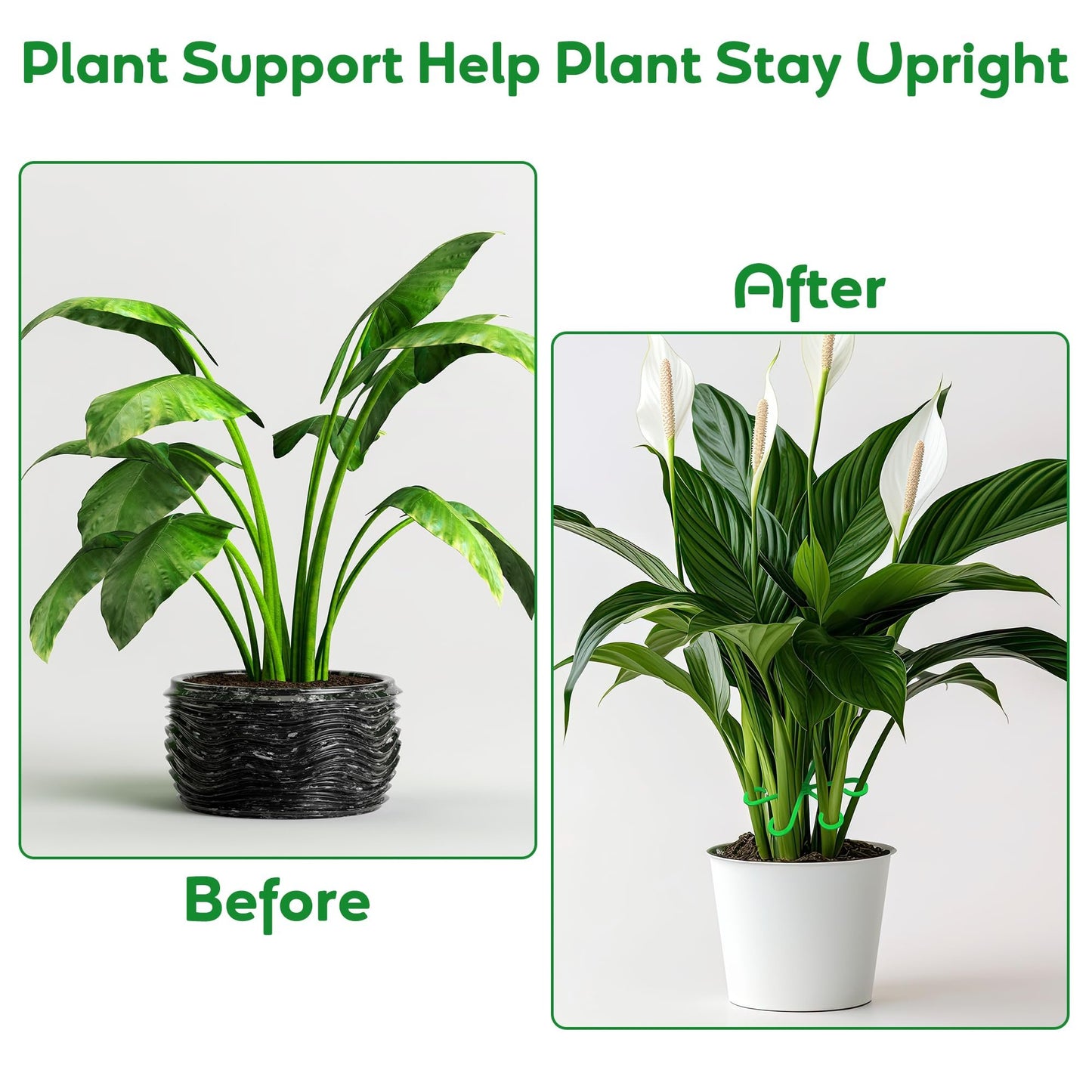 🌿Plant Stem Support Set