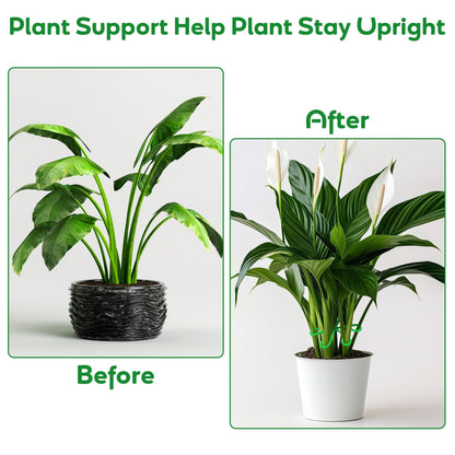🌿Plant Stem Support Set