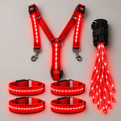 💎Horse LED Night Glow Protection Gear 6-Piece Full Set🐎