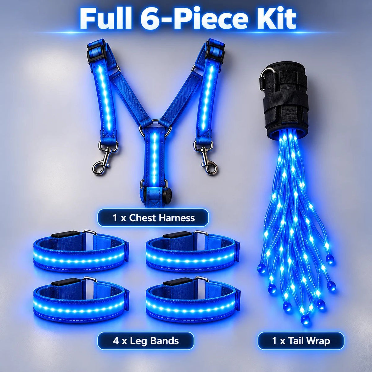💎Horse LED Night Glow Protection Gear 6-Piece Full Set🐎