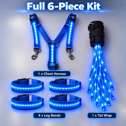 💎Horse LED Night Glow Protection Gear 6-Piece Full Set🐎