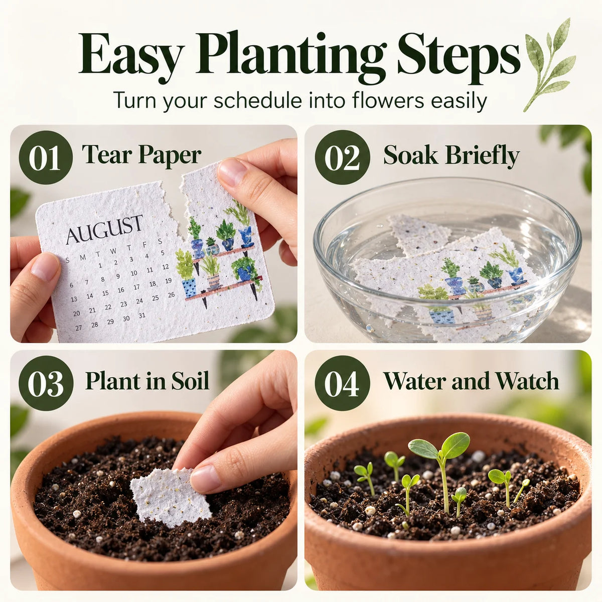 Four planting steps: tear the seed paper, soak briefly, plant in soil, then water and watch