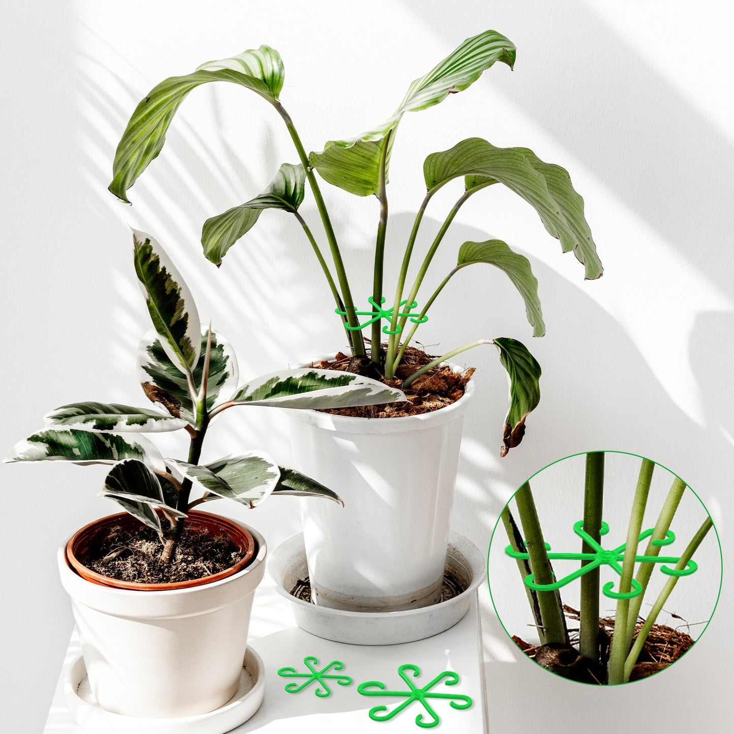 🌿Plant Stem Support Set