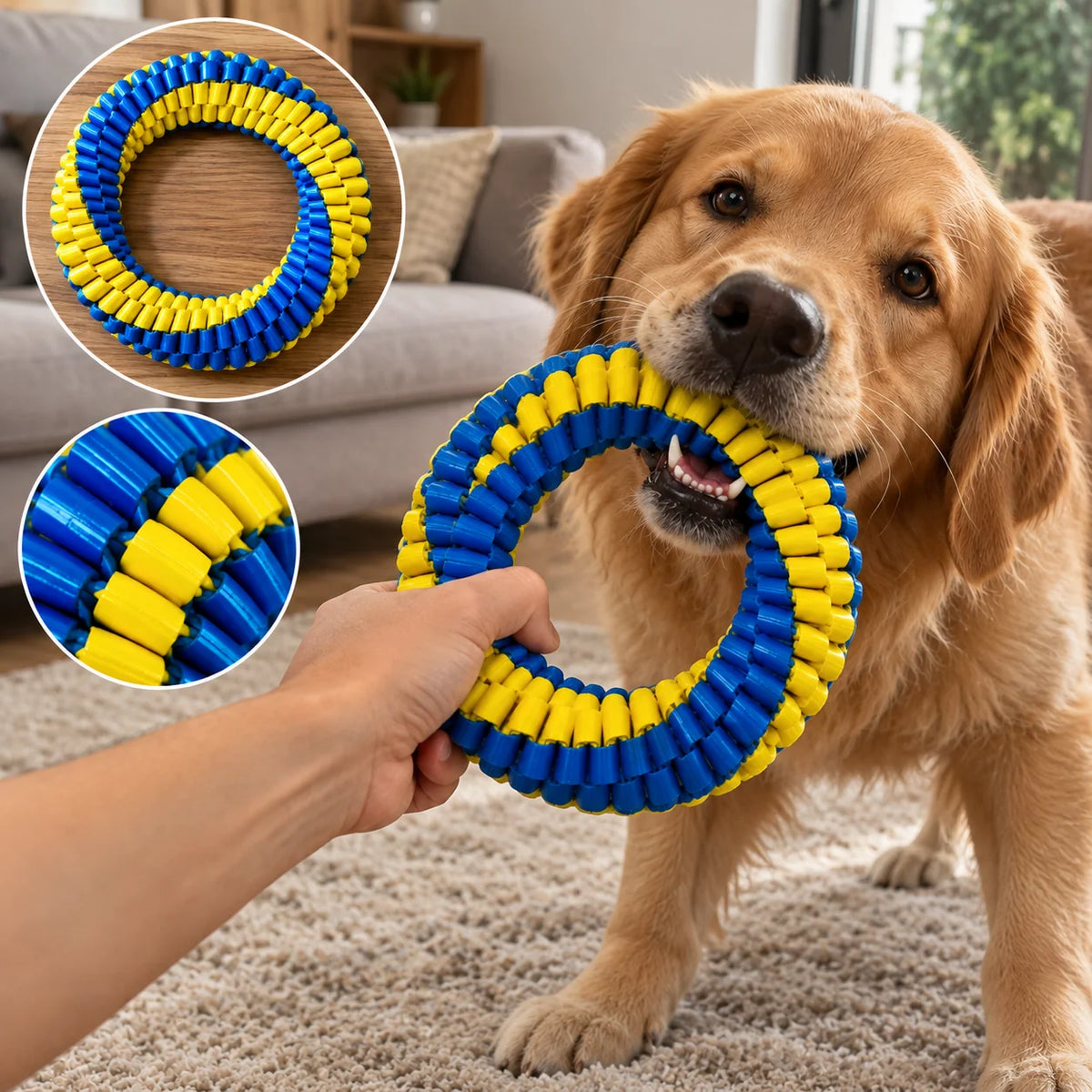 Interactive Nylon Rope Dog Toy 🐶🪢