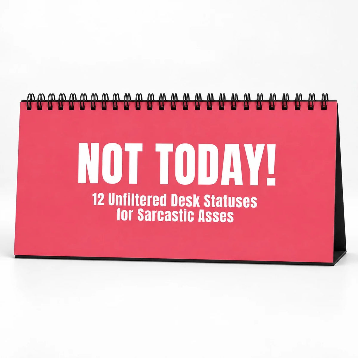 ✨NOT TODAY! Unfiltered Desk Status Flip Sign — 12 Messages