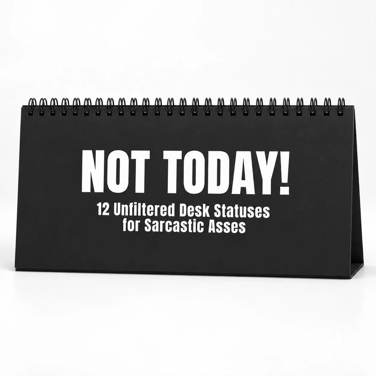 ✨NOT TODAY! Unfiltered Desk Status Flip Sign — 12 Messages