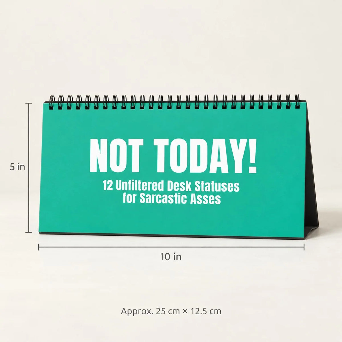 ✨NOT TODAY! Unfiltered Desk Status Flip Sign — 12 Messages