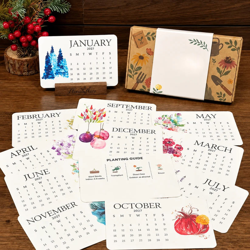 2027 plantable seed calendar with monthly cards and wooden stand