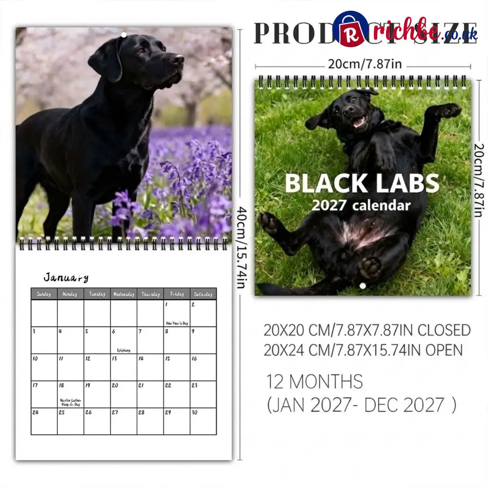 🐾 Black Labs 2027 Wall Calendar, 12 Months of Loyal Looks & Happy Tails - 2027 CALENDAR📅