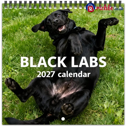 🐾 Black Labs 2027 Wall Calendar, 12 Months of Loyal Looks & Happy Tails - 2027 CALENDAR📅