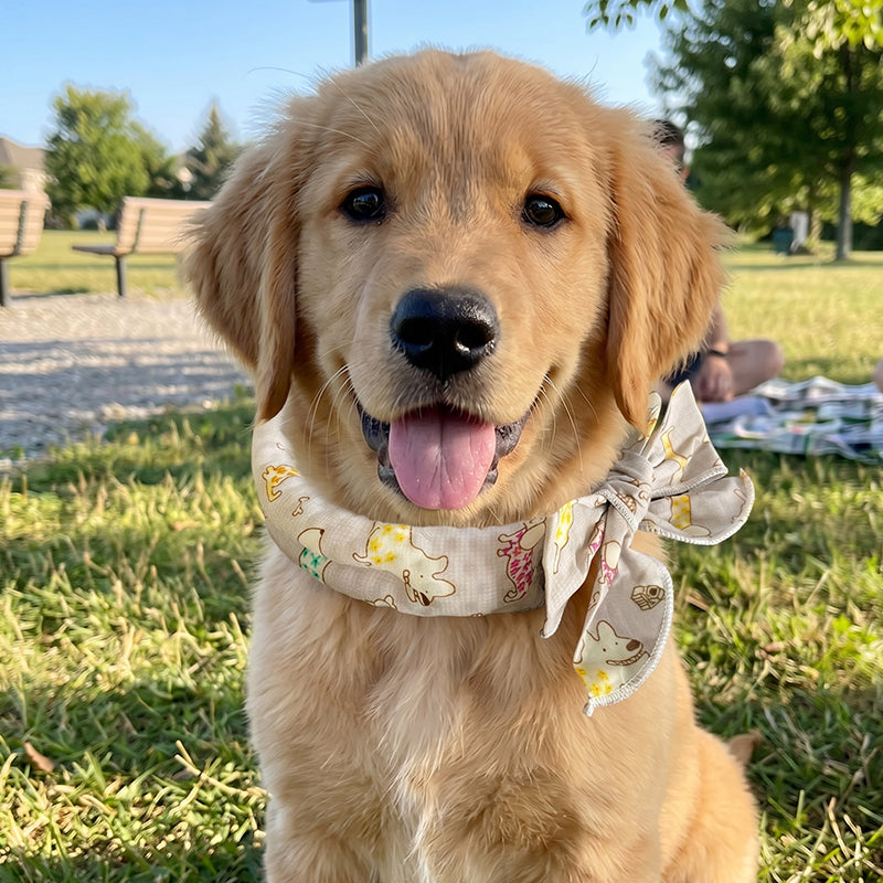 ⏳Time-Limited Special⏰Summer Pet Cooling Collar Wrap