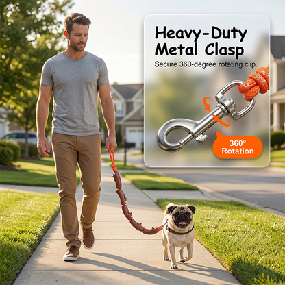 ⏰Playful Sausage Dog Leash